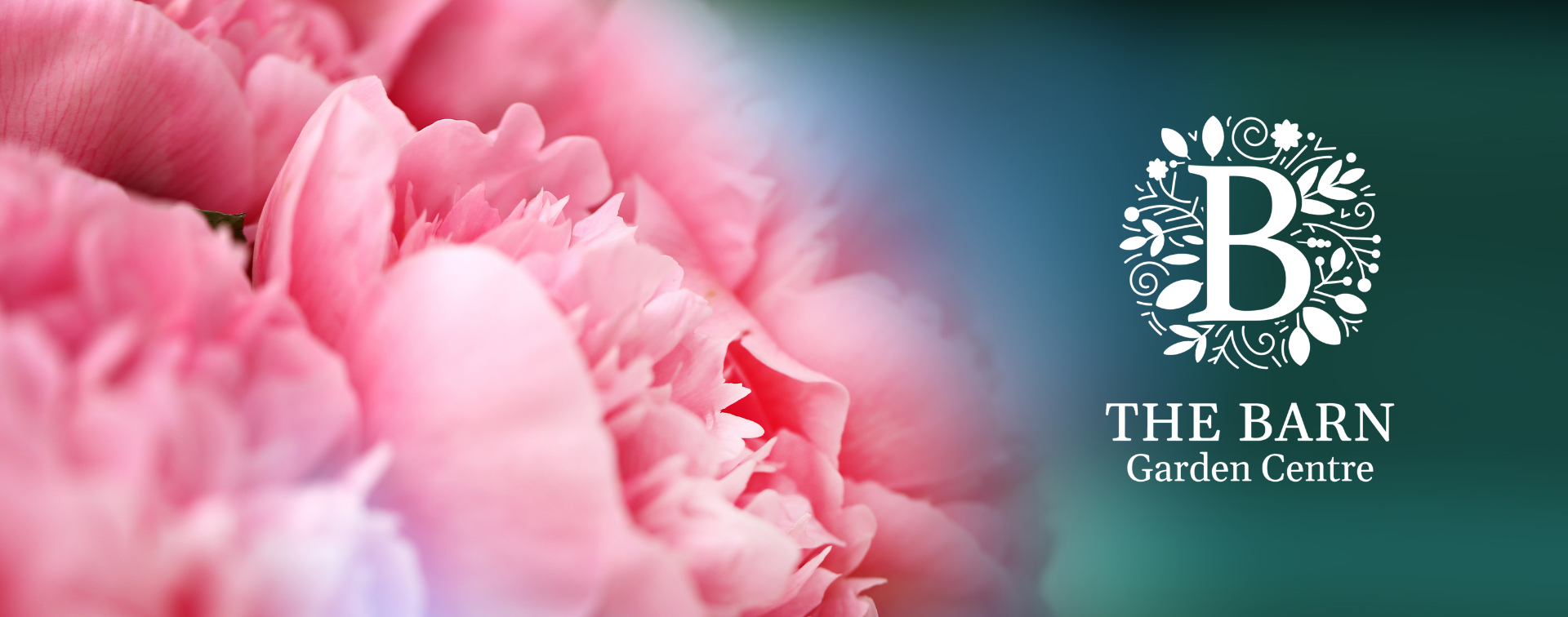 Homepage
